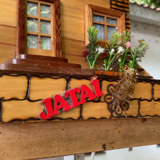 Criação de abelhas sem ferrão