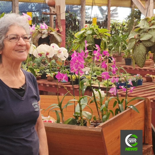 Dá para imaginar que um aviário se tornaria um dos orquidários mais bonitos da região!?