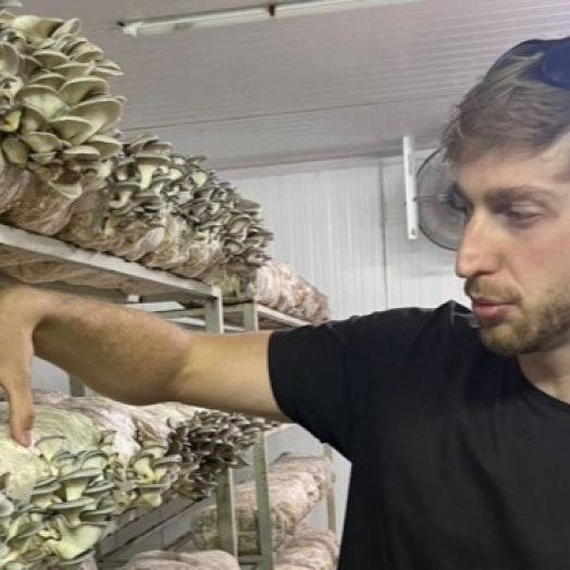 De atleta de elite a produtor sustentável: a reviravolta de Lucas Kehl Bauer no coração de Nova Petrópolis - RS