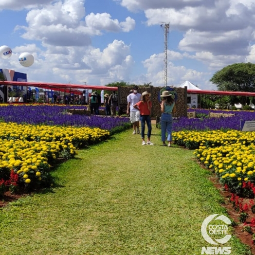 Deputado Estadual Guto Silva prestigia evento do agronegócio em Cascavel