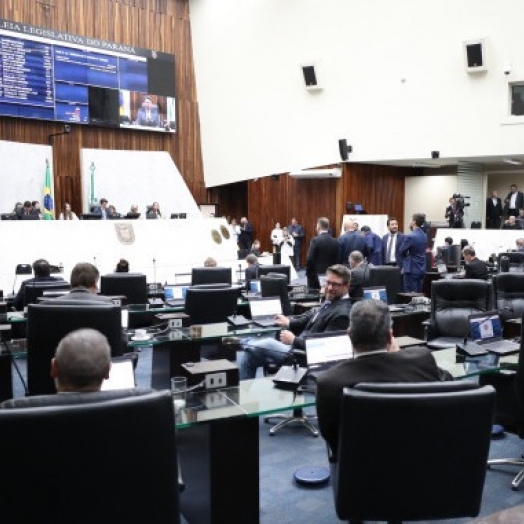Deputados aprovam projeto que favorece agricultura familiar com aumento de merenda orgânica