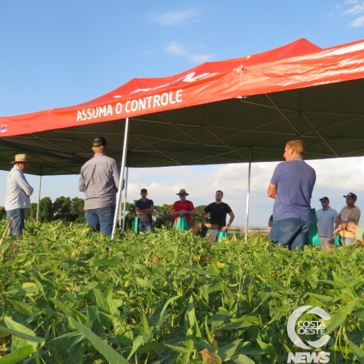 Dia de Campo apresenta tecnologias para agricultores de Santa Helena