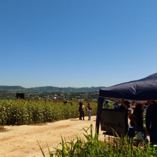 Dia de Campo UNIGUAÇU deste ano reunirá aproximadamente 60 empresas parceiras