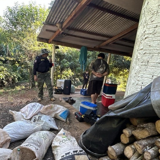 Em paralelo à Piracema, IAT aplica R$ 12,7 milhões em multas por crimes ambientais