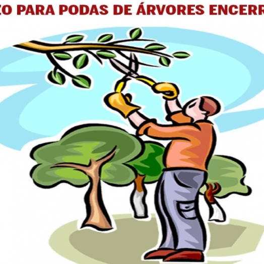 Encerrado o prazo para efetuar Podas de Árvores em Missal