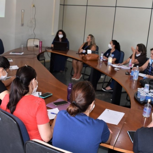 Encontro com profissionais da Saúde de São Miguel do Iguaçu  alinha ações no atendimento à criança e adolescente