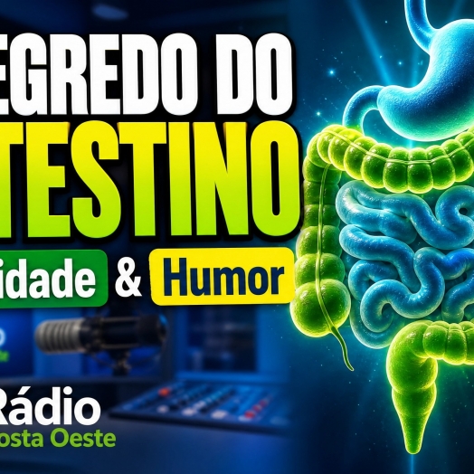 Entenda o papel do intestino na imunidade e no humor
