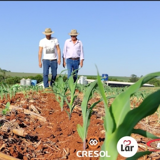 Expedição Costa Oeste: Agricultor aposta tudo na segunda safra de milho no oeste paranaense