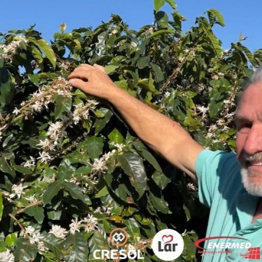 Expedição Costa Oeste: aposentado faz de lavoura de café seu passatempo