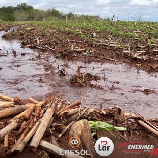 Chuvas afetam algumas lavouras e deixam produtores em alerta no oeste paranaense