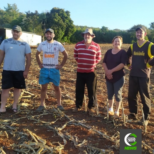 Com temperatura negativas geadas voltam a castigar lavouras e pastagens