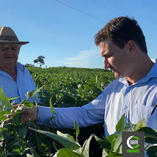 Lavouras crescem com a força do cooperativismo na região oeste do Paraná