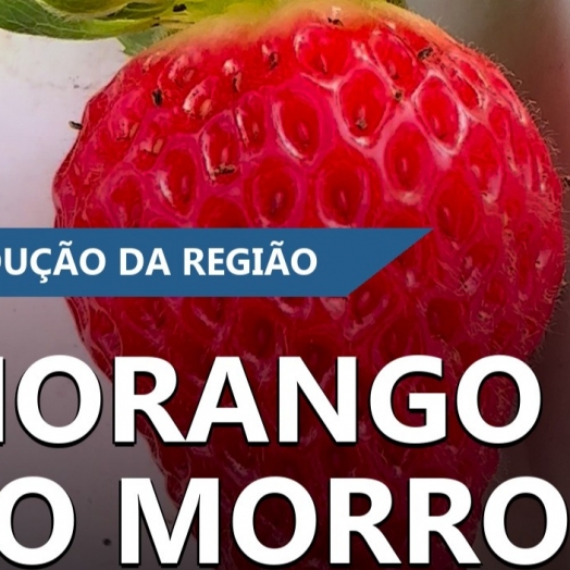 Expedição Costa Oeste – Morango do Morro