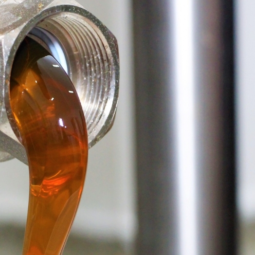 Exportação e bons preços representam cenário positivo para mercado do mel em Santa Helena e região
