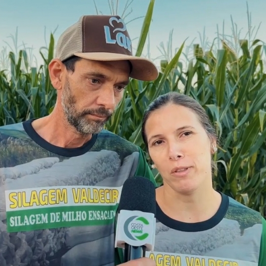 Família aposta na silagem de milho e transforma rotina no campo em negócio lucrativo
