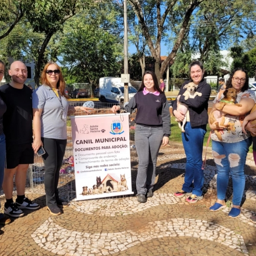 Feira de adoção em Santa Helena busca novo lar para filhotes e combate superlotação no Canil Municipal