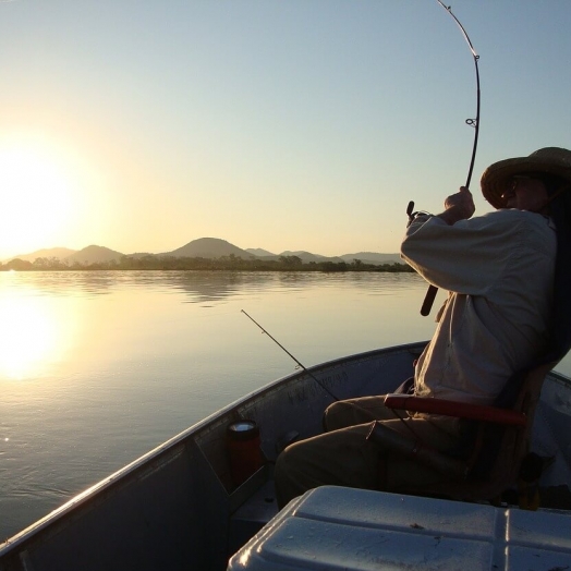 Fim da restrição da pesca no Paraná encerra no domingo (28). Período da piracema deve ser alterada em 2021
