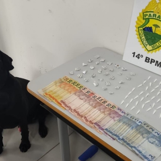 Foz: Polícia apreende drogas e detém menor durante operação no Campos do Iguaçu