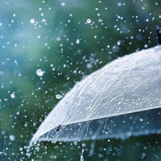 Frente fria e ciclone extra tropical trazem ventania e chuva forte para o Paraná