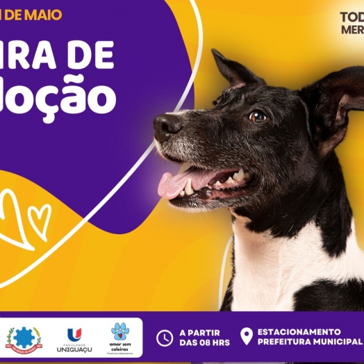 Governo municipal de São Miguel do Iguaçu vai realizar feira de adoção no dia 11 de maio