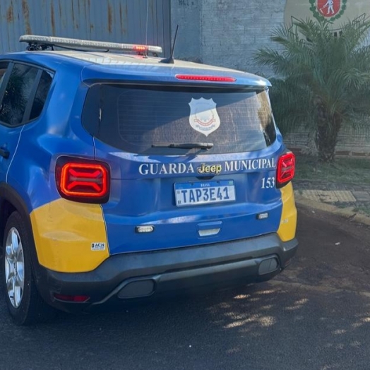 Guarda Municipal de São Miguel do Iguaçu realiza atendimento a violência doméstica no Jardim Social