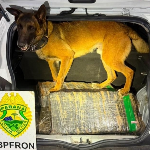Homem carrega droga em Santa Helena e acaba preso em Ouro Verde do Oeste
