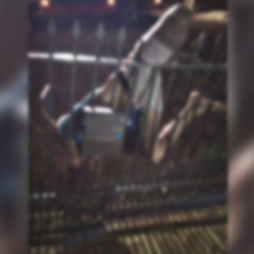 Homem tenta assalto em casa de idosa e acaba “empalado” no portão, em Céu Azul
