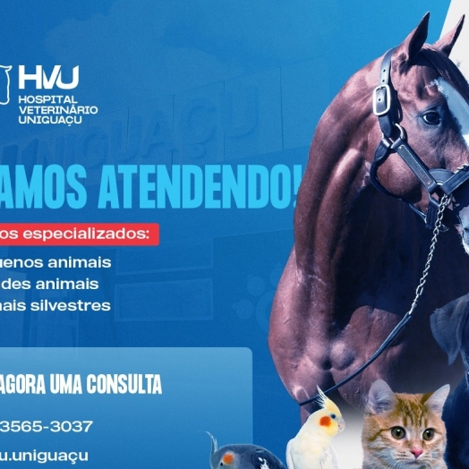 Hospital veterinário da faculdade Uniguaçu contará com centro cirúrgico