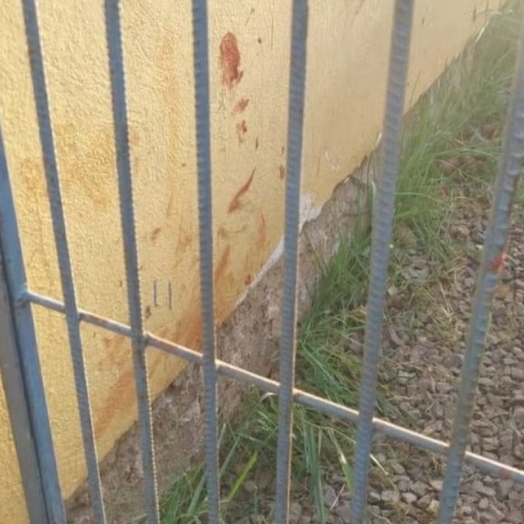 Idoso de 86 anos fica em estado grave após ataque de pitbull da família, em Cascavel