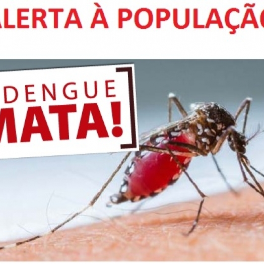 Índice de infestação do mosquito da dengue acima de 6% preocupa setor de saúde em Santa Helena