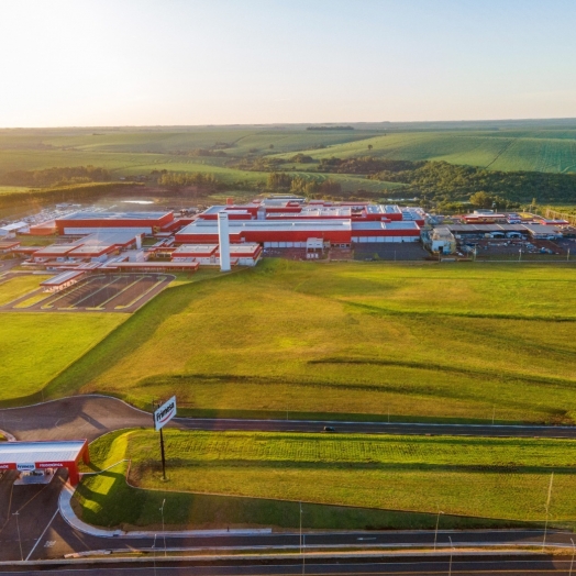 Início dos abates em Assis