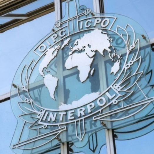 Interpol terá escritório na Ponte da Amizade a partir de segunda-feira (16)