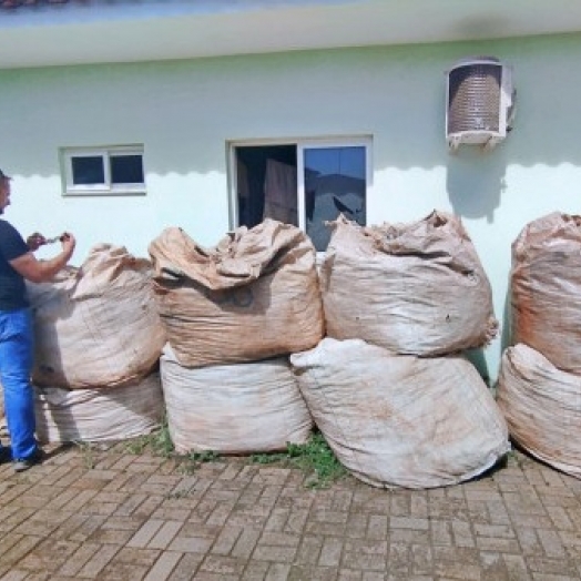 ITAIPULÂNDIA: 345 kg de cartelas, seringas e medicamentos descartados são recolhidas pela Assoremi