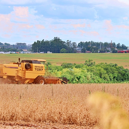 Itaipulândia decreta Situação de Emergência pela crise hídrica e apoia produtores