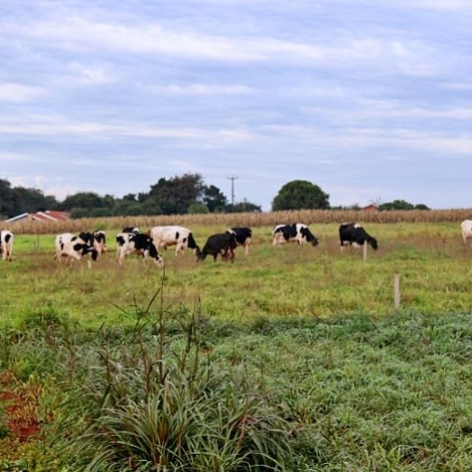 Itaipulândia: Município destina 14,5 milhões de reais para Programas da agricultura