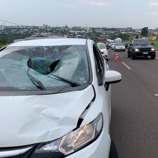 Jovem é atropelado por carro na BR 277 em Cascavel