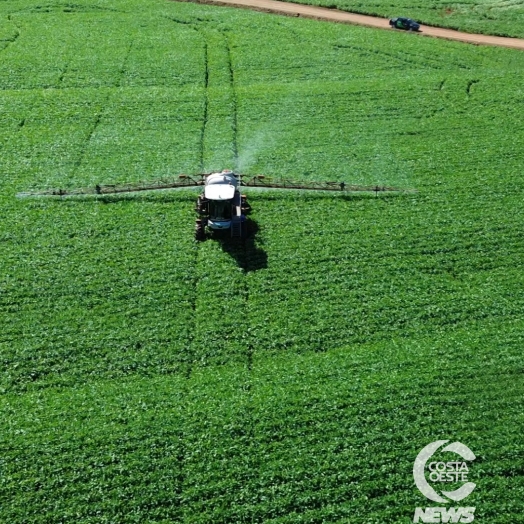 Lavoura da Soja 2025/2026