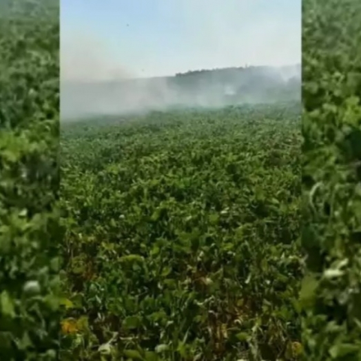 Lavouras de soja pegam fogo no Paraguai