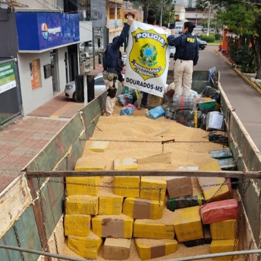 Maior apreensão do ano: PRF apreende 16,1 toneladas de maconha em Ponta Porã (MS)
