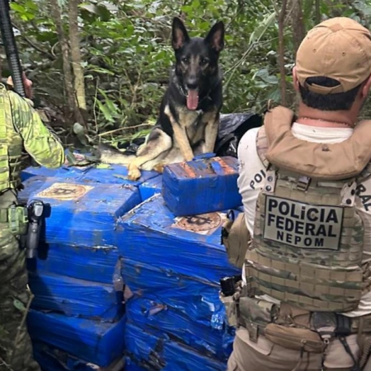 Mais de uma tonelada de maconha é apreendida em Santa Helena