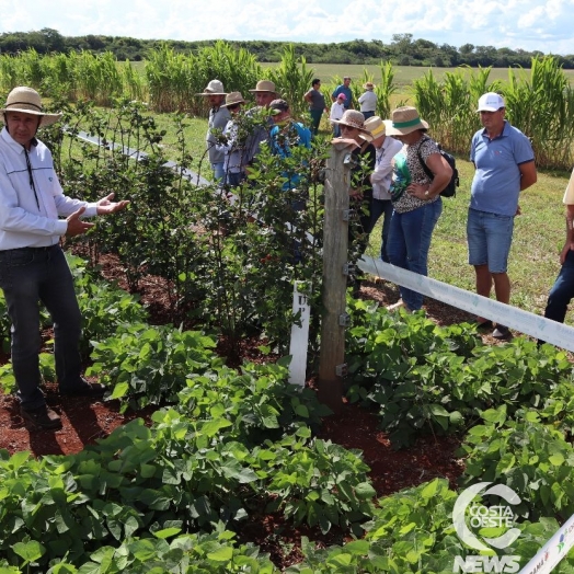 Manejo de frutas é tema de evento do IDR-Paraná, em Santa Helena