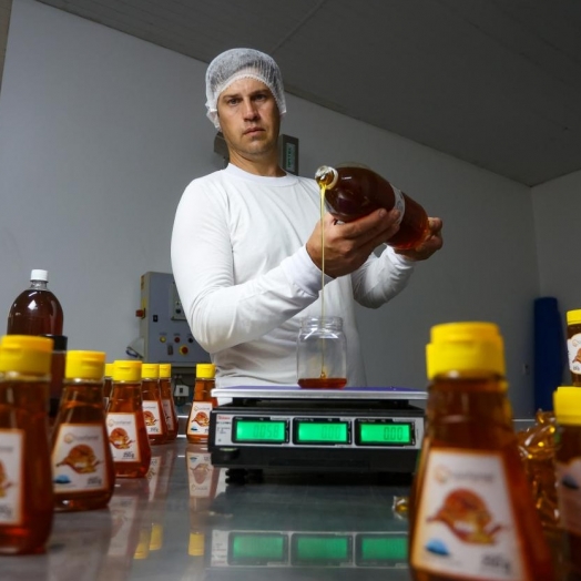 Mel do Oeste: Empresa de Santa Helena é destaque em produção de mel e produto ganha fama nacional