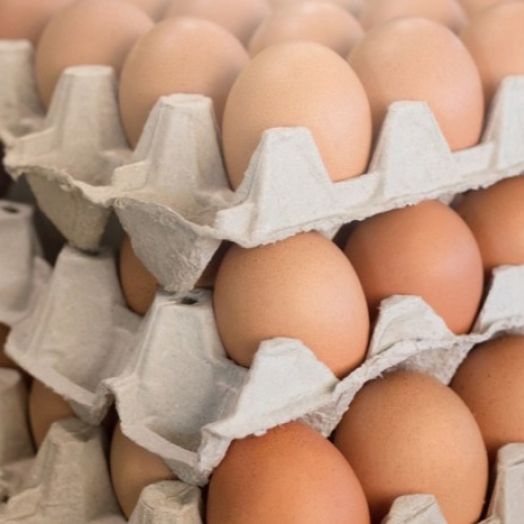 MERCADO INTERNACIONAL: Brasil poderá exportar ovos e derivados para a Rússia