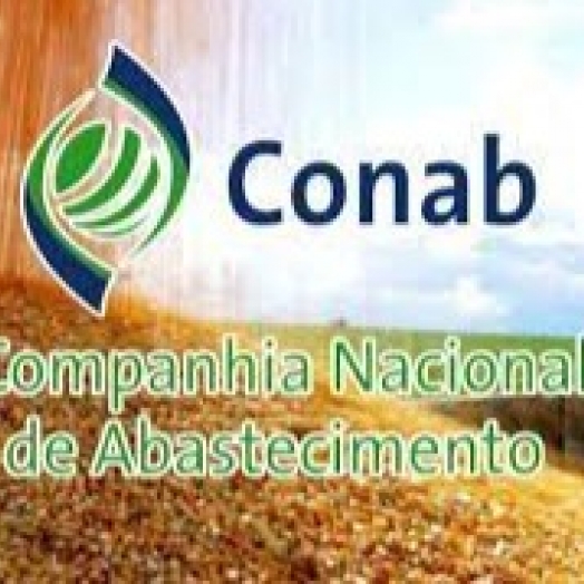 Missão internacional: Conab participa de reunião da rede de sistemas de abastecimento na América Latina e Caribe