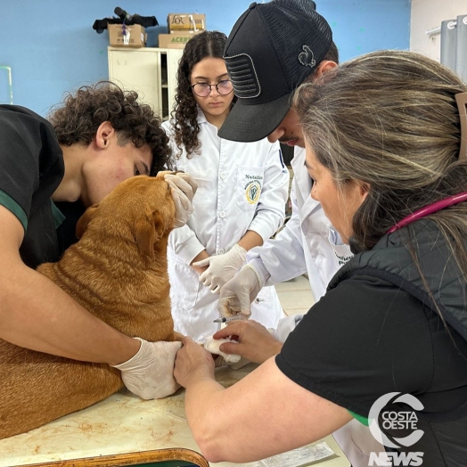 Missão Veterinária Internacional leva atendimento à Comunidade Indígena Tekoa Ocoy