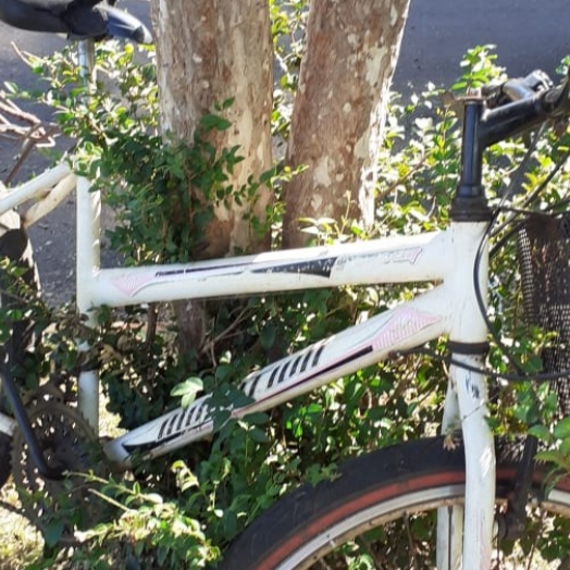 Morador pede ajuda para tentar localizar dono de bicicleta abandonada em Santa Helena