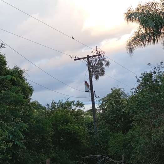 Moradores da Linha Pinheirinho, em Serranópolis do Iguaçu, relatam prejuízos após 24h sem energia elétrica