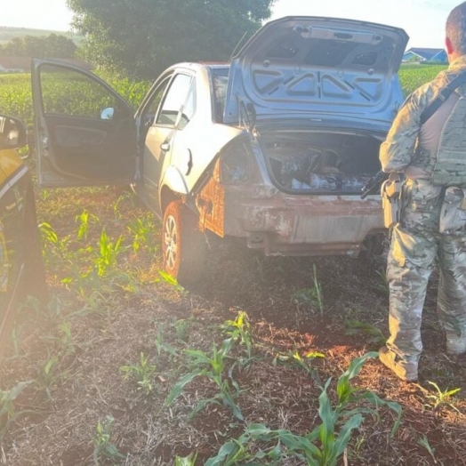 Motorista abandona carro com 300 quilos de maconha em plantação de milho no interior do Paraná
