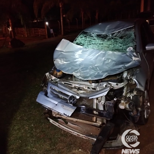 Motorista fica ferido após atropelar bovino na PR-874, em Santa Terezinha de Itaipu