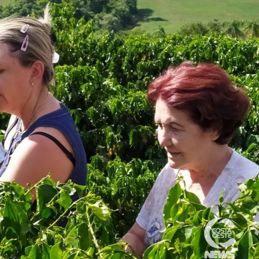 Mulheres tentam manter viva a tradição de cultivar café no Paraná